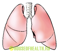 классификация бронхиальной астмы